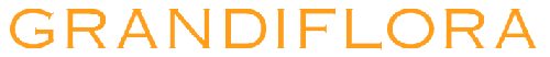 Logo grandiflora_logo_transparent